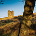 The Cage at NT Lyme Park