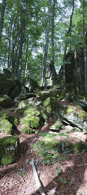 Fränkischer Gebirgsweg Betzenstein - Hormersdorf