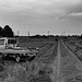 Farmer's truck