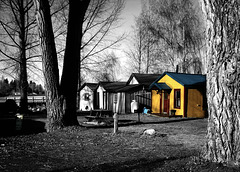 Yellow cabin