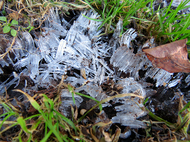 Ice crystals this afternoon, but the sunshine was mild.