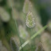 DSCF7824