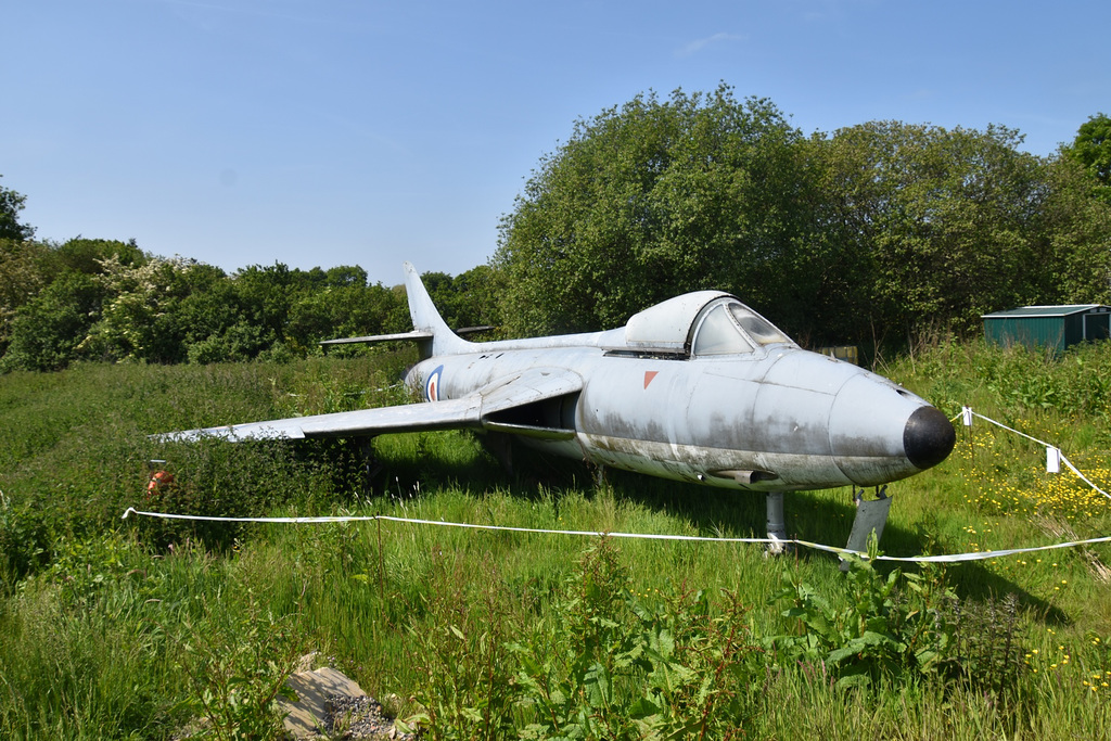 sergammay272023 (1139)