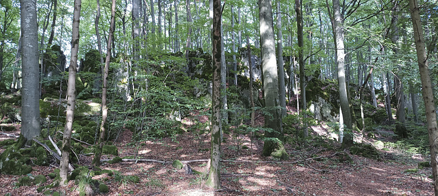 Fränkischer Gebirgsweg Betzenstein - Hormersdorf