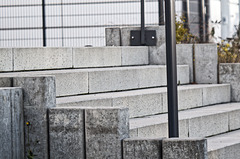 KR609677©IngoKrehl KR609677©IngoKrehl