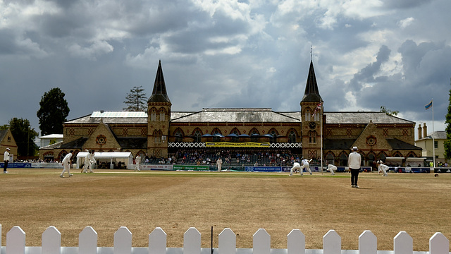 A day watching cricket