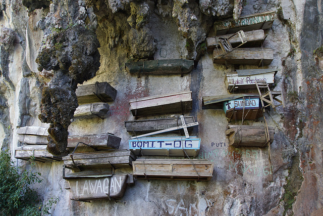 The hanging coffins of Sagada