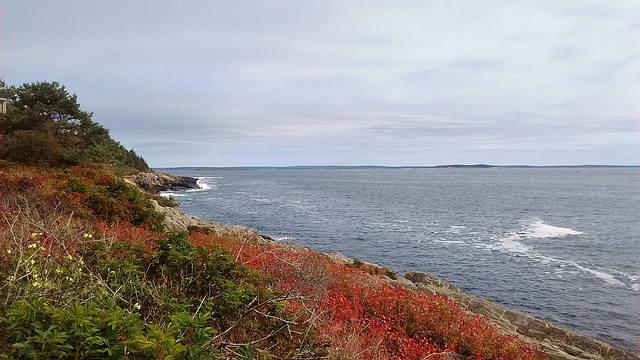 La côte sauvage / A costa selvagem