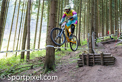 img 3586jpg 14809618674 o img 3586jpg 14809618674 o