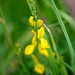 DSCF7841