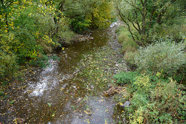 Die Sieber führt wieder Wasser