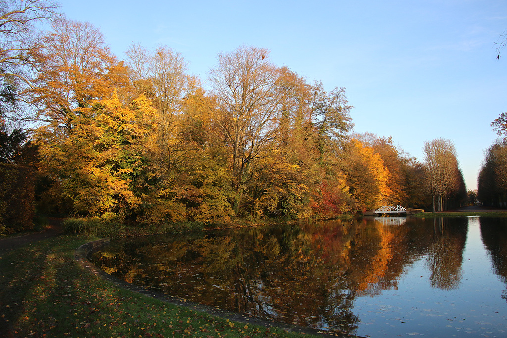 Herbstlicher Garten