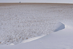 snow sculpture and bin