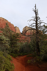 Brins Mesa Trail