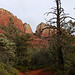 Brins Mesa Trail