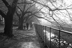 Walking between showers