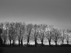 "Grisaille en Décembre vaut mieux que grêle en Mai." Sentences de par ici et de par là.