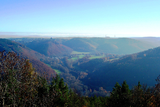 DE - Hürtgenwald - View from Krawutschke Tower