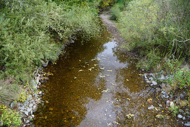 Die Sieber führt wieder Wasser II