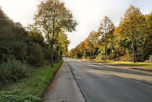 Wittekindstraße (Hamm-Bockum-Hövel) / 13.10.2019