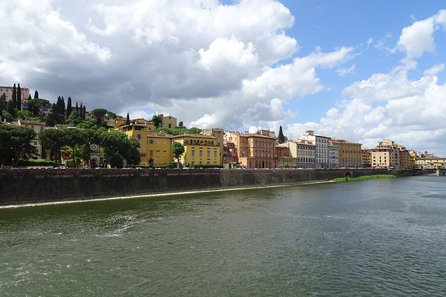 Arno River View