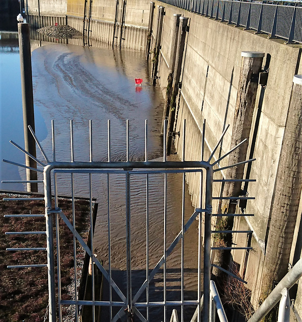 Einkaufswagen bei Ebbe