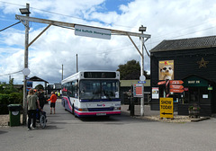 Stonham Barns 'The Big Bus Show' - 13 Aug 2023 (P1150982)