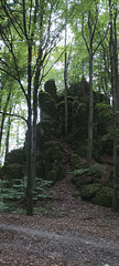 Fränkischer Gebirgsweg Betzenstein - Hormersdorf