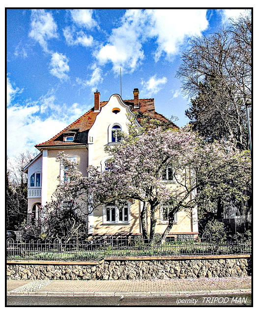 Villa Magnolia