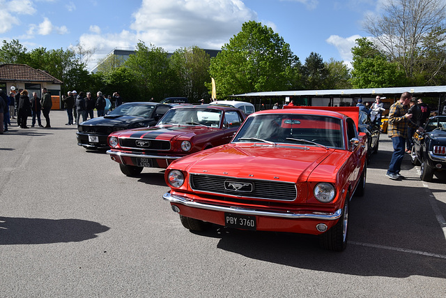 60yofmbapr202024 (1127)