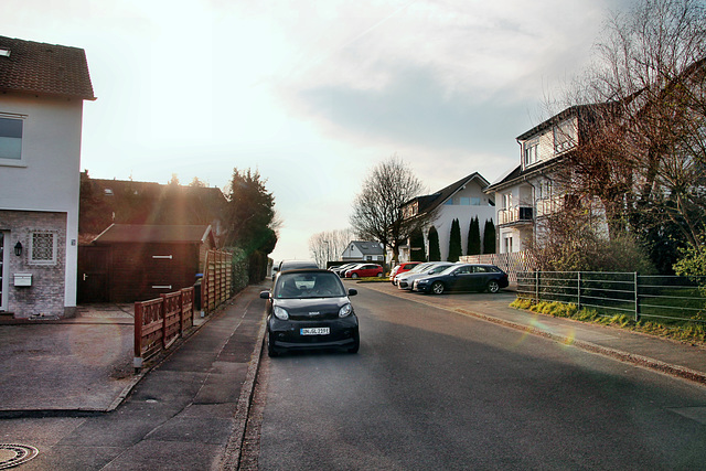 Gustav-Heinemann-Straße (Schwerte-Geisecke) / 9.03.2024