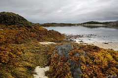 Low tide at Morar Bay.