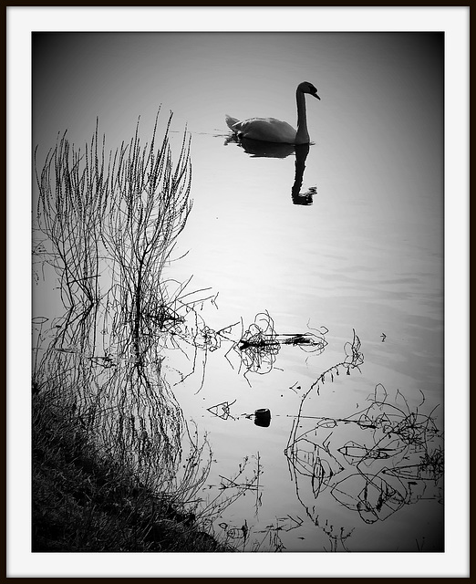 Réfléchir en Noir et Blanc