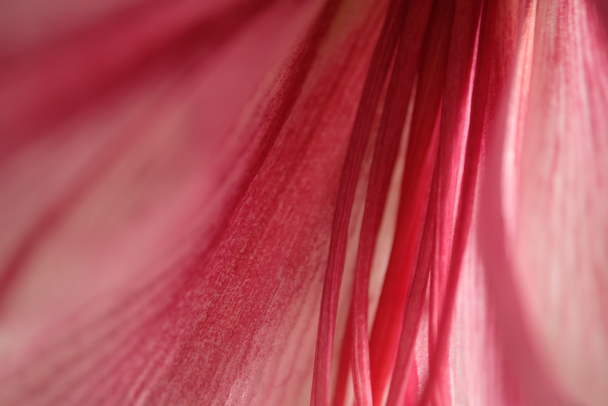 DSCF8716