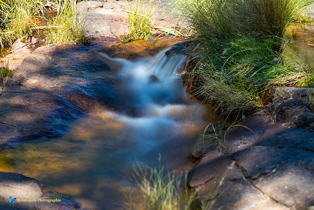 Outflow from the lake