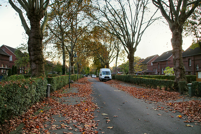 Siedlung Ziethenstraße, Lünen-Süd / 27.10.2019