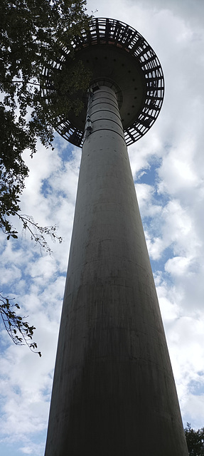 Fränkischer Gebirgsweg Betzenstein - Hormersdorf