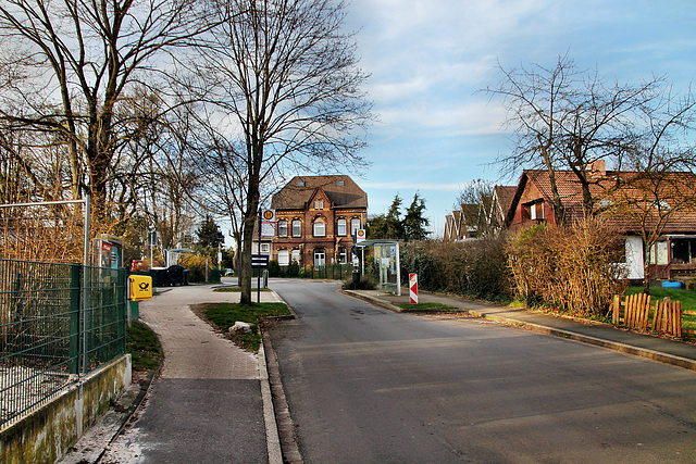 Buschkampweg (Schwerte-Geisecke) / 9.03.2024