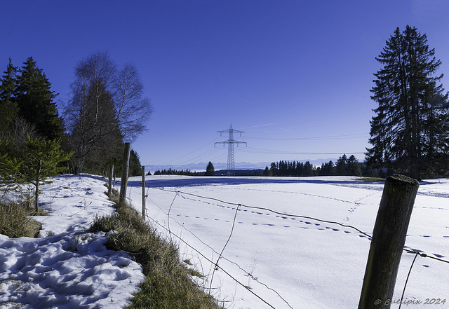 HFF ... ich wünsche allen ein sonniges Wochenende (© Buelipix)