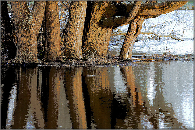 L'eau monte....