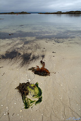 The white sands of Morar Bay