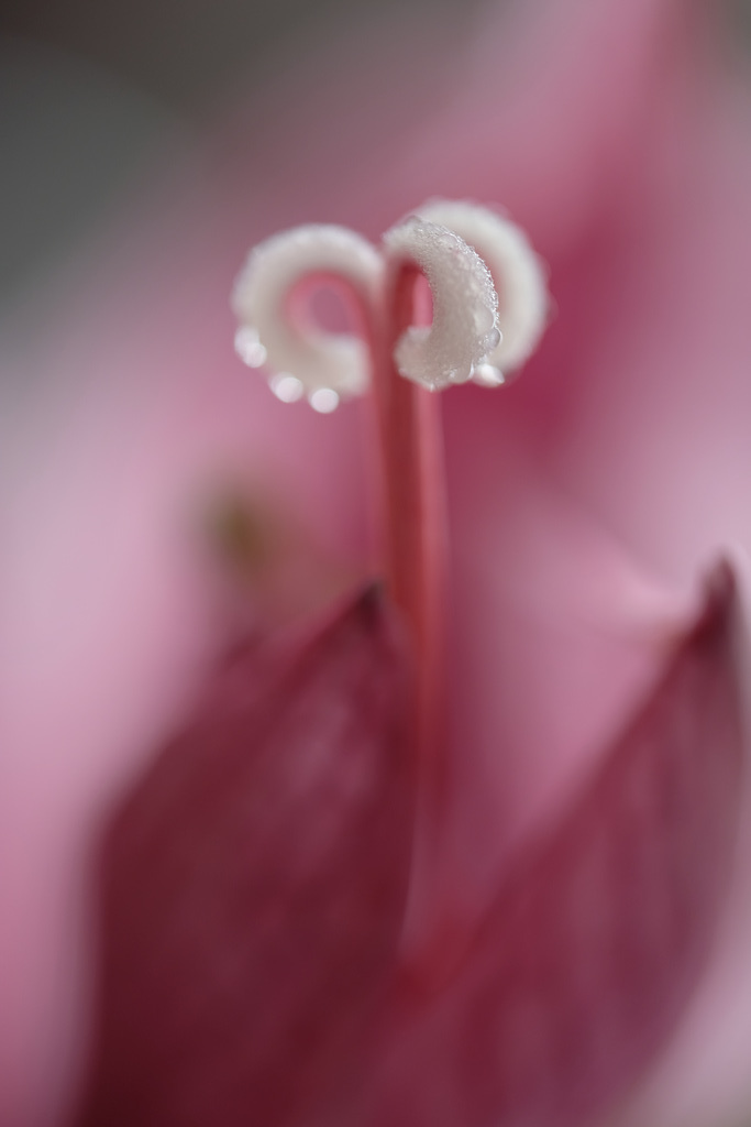 DSCF8711