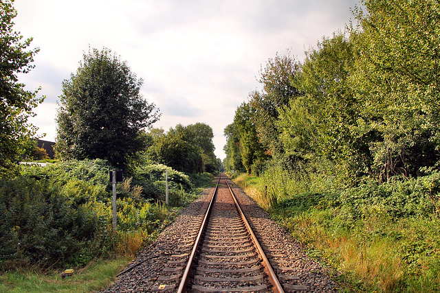 Bahnstrecke Dortmund–Enschede (Lünen-Alstedde) / 12.09.2021