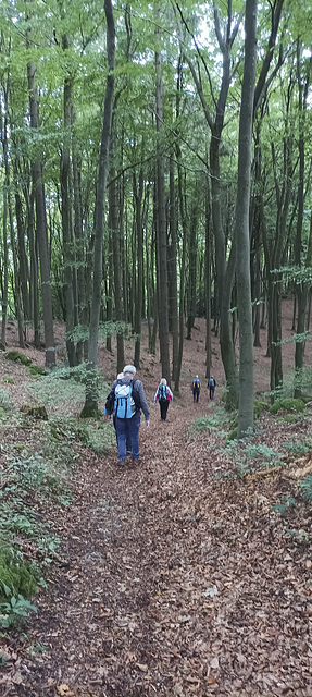 Fränkischer Gebirgsweg Betzenstein - Hormersdorf