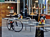 Reflecting Christmas Day in the City