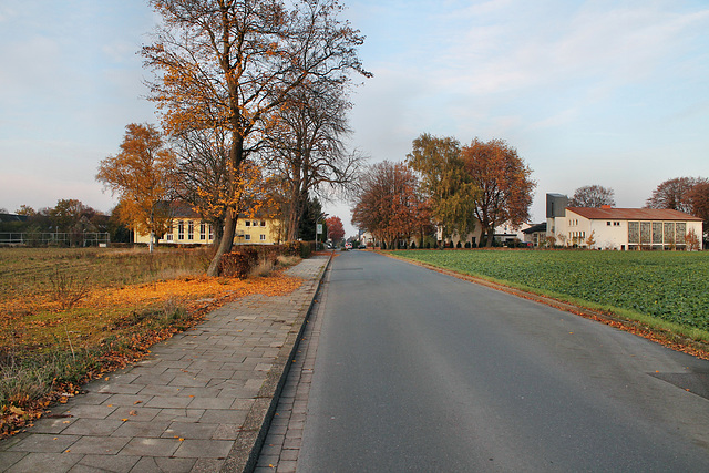 Buderusstraße (Unna-Massen) / 12.11.2016