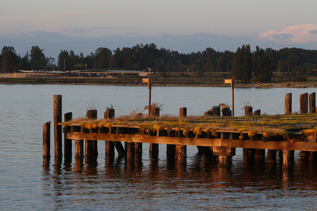 Semiahmoo Sunset