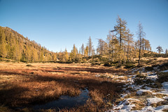 Zona umida sotto il Lago dei Salei