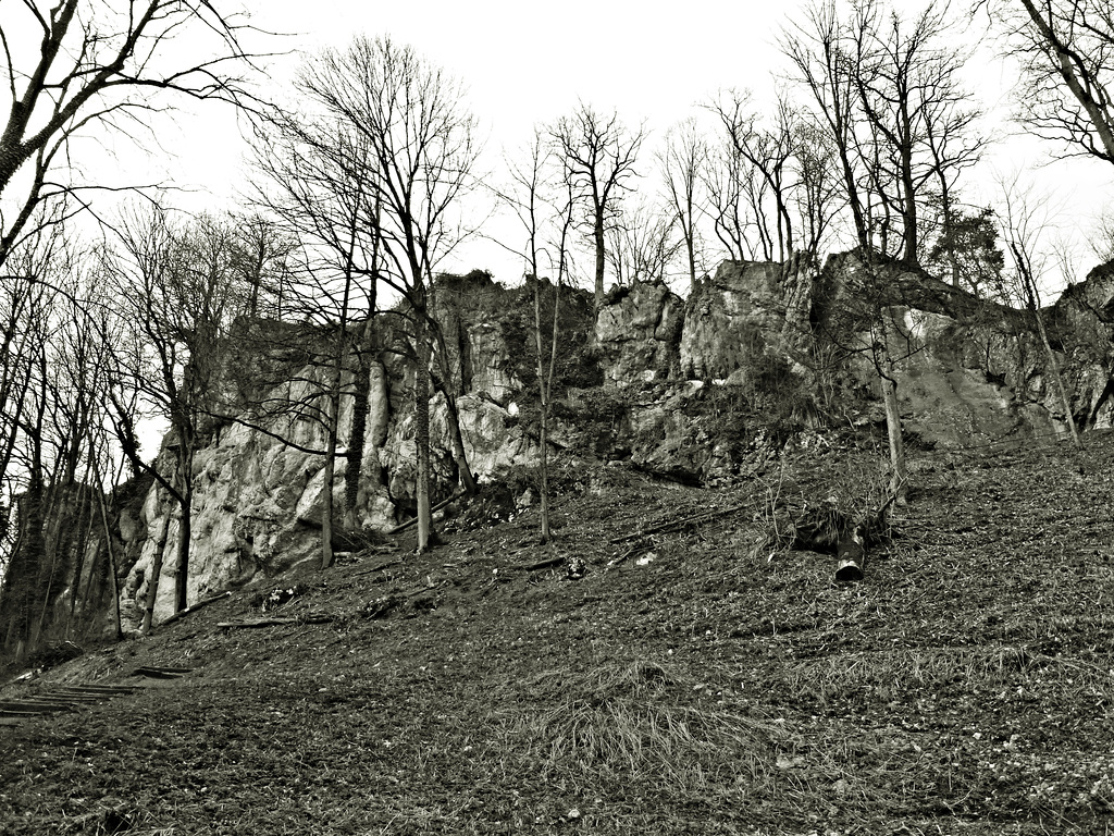 Der Felsen Schlossberg (PiP)