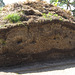 Geological strata of a compost heap